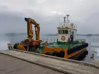 1991 Multicat For Sale