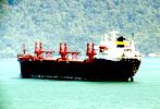 Bulker for sale
