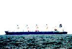 Bulk carrier