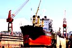BULK CARRIER FOR SALE