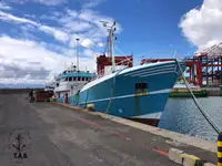 36m Mid Water Freezer Long Liner