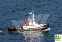29m / 30ts BP Tug for Sale / #1015052