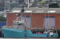 LONG LINER - TUNA . TROLLER.  GOOD WORK BOAT CONVERSION