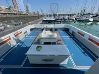 2010 Custom South Boats Catamaran