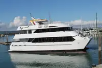 Passenger / Whale Watching Catamaran