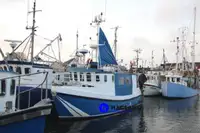 WETFISH TRAWLER