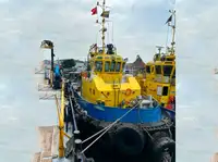 1995 Tug - Twin Screw For Sale