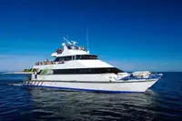 Fast alloy tourist catamaran. Capable up to 250 PAX