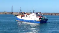 GRP Freezer/Fresh Longliner Fishing Factory Vessel for sale
