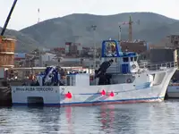 28m Multi purpose catamaran for Sale