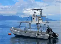 NEW BUILD - 33ft Professional Diving RIBS