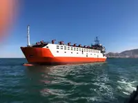 Live Stock Carrier Cattle