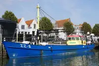 Dutch Mussel Cutter ZZ-6
