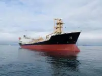 6698DWT Cement Carrier