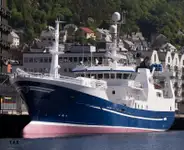 PURSE SEINER / PELAGIC TRAWLER / RSW